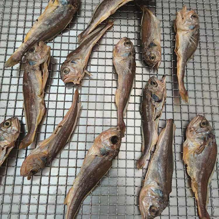 烘干小黄花鱼（多规格价格可选）