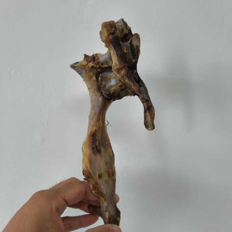 烘干羊叉骨磨牙
