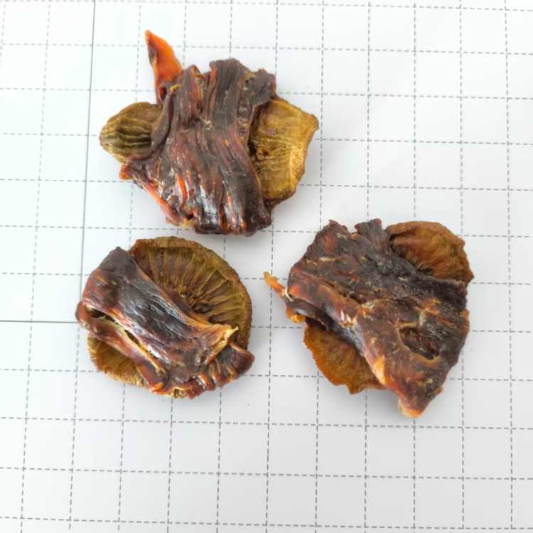 鸭肉绕猕猴桃