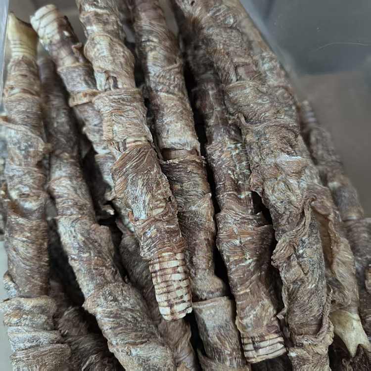 鸭肉绕鹅喉管（酥脆，猫和小型犬都可以吃）